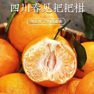 �Ĵ���Ҋ�ҰҸ����rˮ�����������������ӳ���ٰҰҸ̽۴�����]