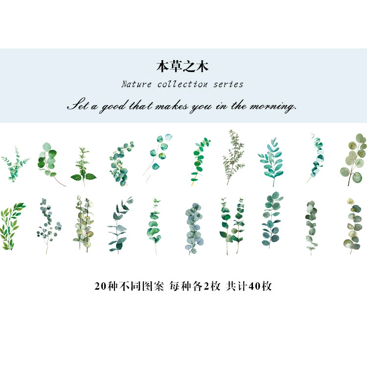 Natural photo collection window series PET handbook post paper bag creative plant DIY decorative post 12 models