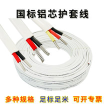 國標兩芯電纜線 鋁芯戶外電線BLVVB101635平方鋁護套線 國標100米