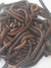 ?�r��������w�������S�X�T�D�ش�����������������~��