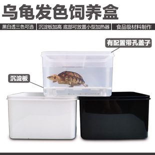 Turtle Black and White Hair Color Box Seedling Box Egg Turtle Breeding Box Storage Box Turtle Seedling Isolation Box Winter Warm Box Jikai