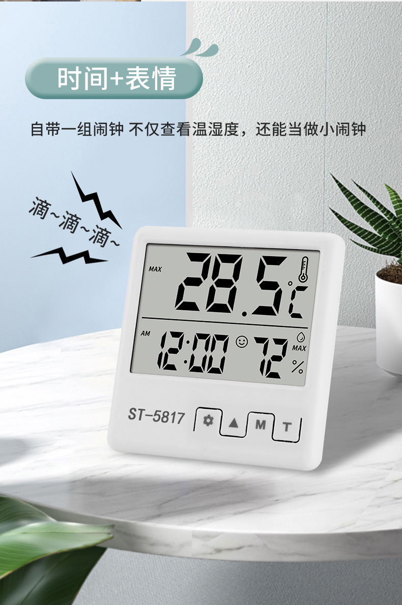 5817带型号温湿度计_01 (7)