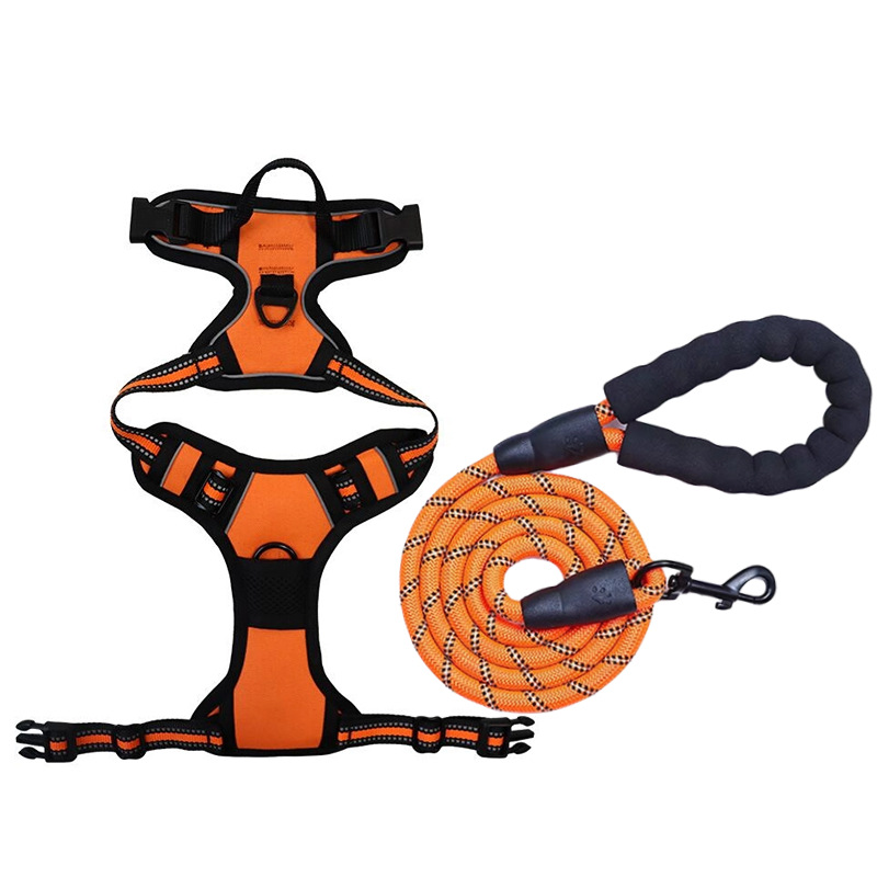 Orange [strap + traction rope] set