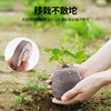 Cultivate seeds non -woven nourishing seedlings Nutrition blocks compressed mandarin block magic soil medium with packaging succulent