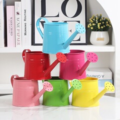 キャンディー色の鉄芸の水筒の花屋の手作りの花束は花器のカラーの鉄の皮を包んで水筒をかけます。