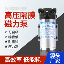 微型卧式DP-100 24V高壓隔膜泵 耐腐蝕電動自吸水直流噴霧往復泵