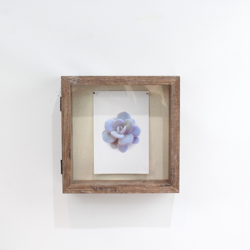 Hollow 3cm 5cm Dried Flower Photo Frame Wholesale 10inch Handmade Paper Rose Framed Picture Frame Stereo Hollow Photo Frame