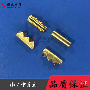 ���X�������� ���X�Ӿ����� �X�Ή������� �S�~ ����