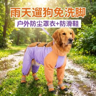 �д���Ȯ��Ͱ�������m�·���ë߅�������ޏ����Kѝ��ˮ�x�_�KЬ