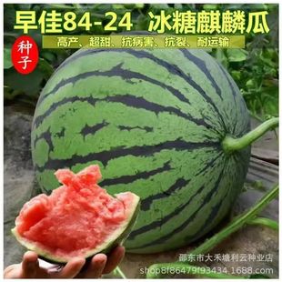 ���8424�������ϷN�ӟo���ش�߮a���������Ϸ��ļ��߲�ˮ���N��