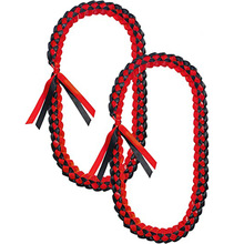 ���I�z�����h�����ֹ������pɫ�Y�����I�s�u�R��2025�ꮅ�I�Ɍ���