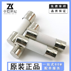 6x30陶磁器保険管250v速断1 a2a 3a 4a 5a 6a 8a 10a 15a 30a 6*30mmヒューズ管