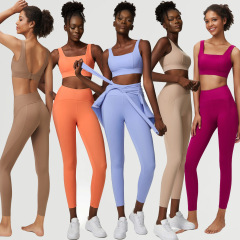 Seamless Line Fixed Cup Sports Bra and two-pieces Spliced Ribbed Yoga Set for Women Sports Fitness Suit