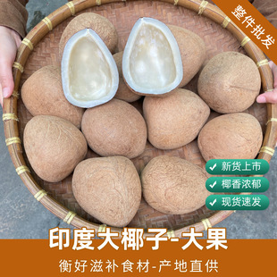��Ҭ��ӡ��Ҭ��������l  Ҭ���u��ô�Ҭ�ʺ���Ҭ��Ҭ���u30��
