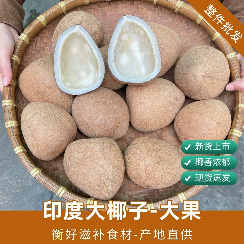 Оптовая продажа крупных индийских кокосов King Fruit, крупные кокосы King для использования в ресторанах, приготовления кокосового куриного супа 15kg