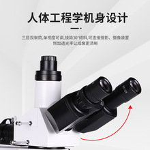 ����y�������@΢�R���I�z�y�����x����߱��@΢�R����ҹ�WX20