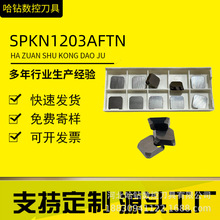 �p�^㊵�ƬSPKN1203AFTN�����մɾ�㊵�Ƭ����SPKN1204�ķ�YNG151