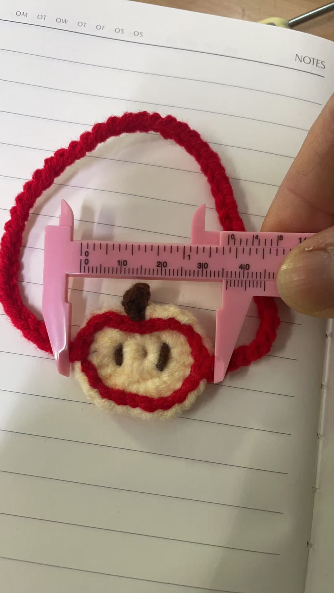 단면 빨간 사과 가방