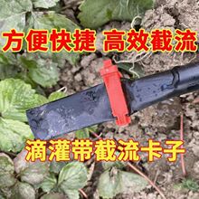 �ι��������Aë������ë�܊A������^��ڊA΢������������ʡˮ