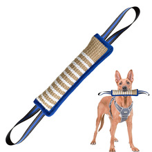 �����ѵȮ����Ʊ�ҧ����ҧ��ĥ����ҧ��ѵ��Dog training stick