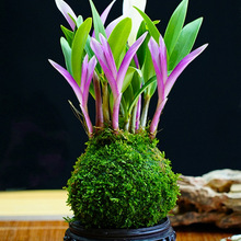 �߲���ˮʯ���m���ļ��_���B�Gֲ������ʯ������˯�߾Gֲ�����՚�