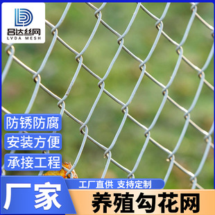 ����\�����W���o�����F�z�W�Bֳ����䓽z�W�B�u�����@���x�o�ھW
