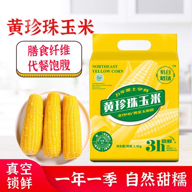裕谷稻场东北黄糯玉米棒8根真空装现摘新鲜甜玉米粘粗粮代餐苞米