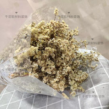 干水晶草情人草 勿忘我装饰花束干花材料