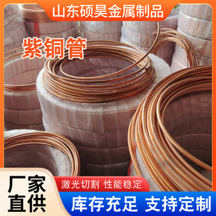 TP2���~�� ܛ�B���{�~����ɢ��A��T2���ڿ����~��ë�����~��