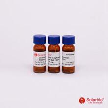 G8730 �B��-5'-��������c�}��GDP�� ��ɫ��ĩ ���������ԇ��