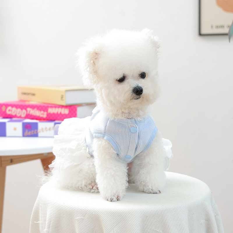 宠物衣服秋冬新款小型犬幼犬快乐狗猫保暖舒适蓝白蝴蝶结公主裙|undefined