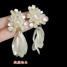 2026����ؐ�����K���ˮ�λ��곬�ɚ��|���Ů���l�߼����@�ݱ���