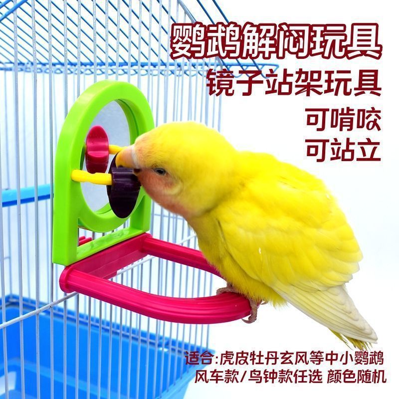 笼养鸟自娱自乐玩具 鸟笼啃咬玩具磨牙鹦鹉镜子玩具解闷|undefined