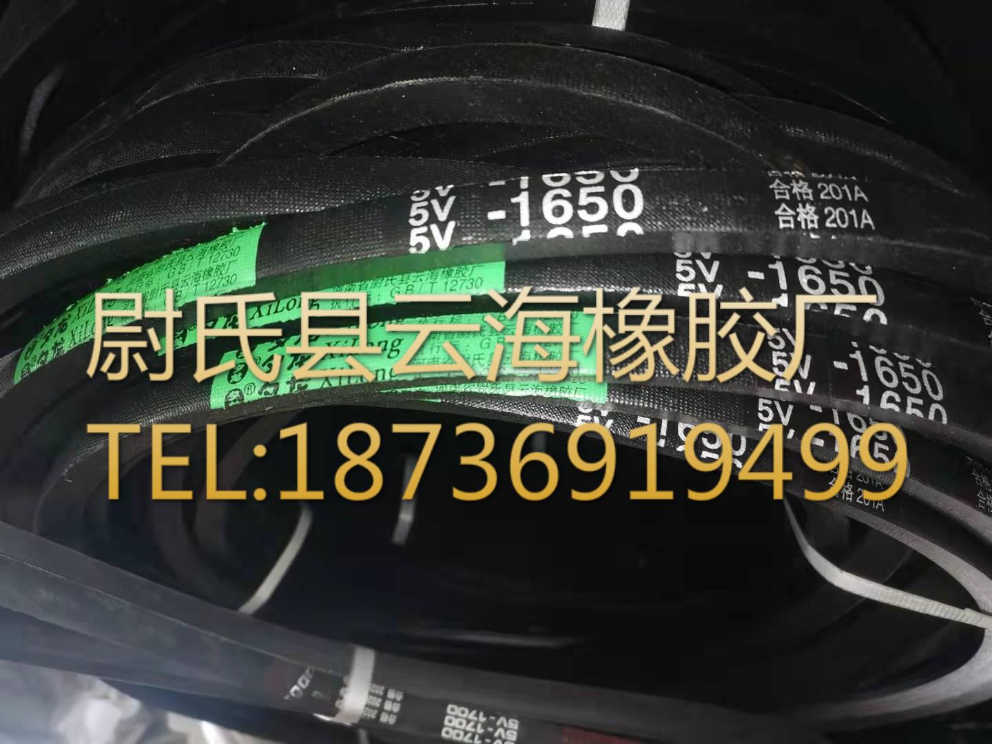 窄V带 5V三角带  机械设备用三角带 水泥设备用5V1650(4191mm）
