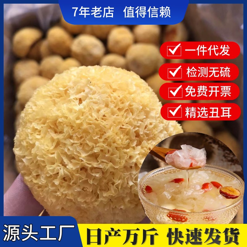 厂家直供古田精选散装丑耳小银耳碎黄金耳白木耳糯耳雪耳干货批发