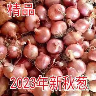 ֭�[ë�[�^Сë�[�^�t�[�^��ˮ�����[�[����Ӗ|���خa��ë�[ȫ��