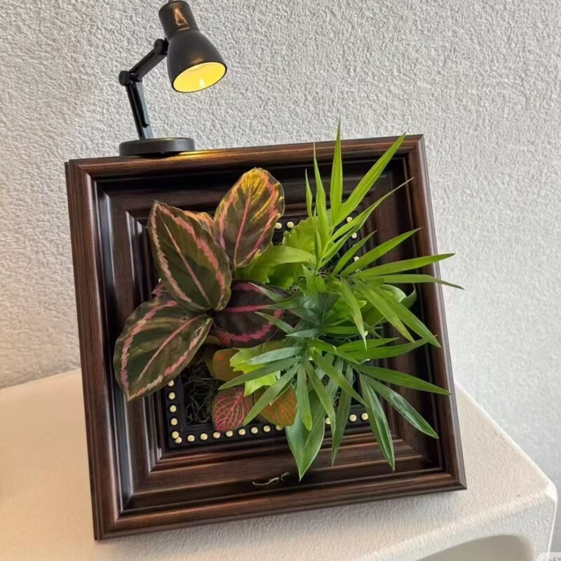 DIY green plant pot photo frame for creating a miniature landscape, a gift photo frame for displaying plants DIY green plant pot photo frame for creating a miniature landscape, a gift photo frame for displaying plants