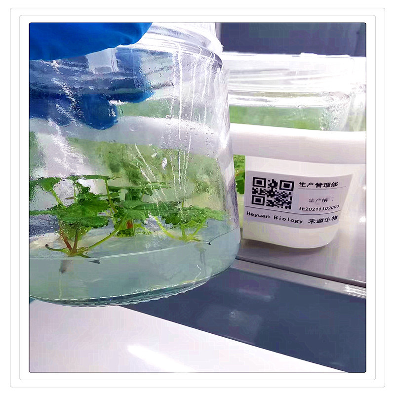 52c8cb5a5d0a7c70df3d63692429a0