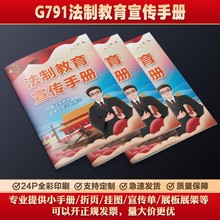 法治教育宣传手册违法案例警示八五普法以案释法宣教画册海报墙贴