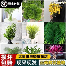 �ȼ�����Ȫ��С�βݾG⏲ݾGë���S�L�����~�t������r����ݴ�ȫ