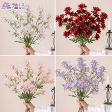 ���滨�����m��ɫ�廨��� ܛ�b��O ���������� �zӰ����
