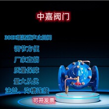 厂家定制300X缓闭消声止回阀3铸铁法兰泵房用水力控制阀高温适用