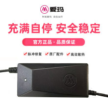 电动车充电器原厂48v60v72v20ah60伏艾玛新国标G原装