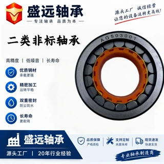实体工厂供应二类非标轴承汽车变速箱轴承减速机轴承汽车轴承定制
