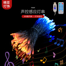 新款音乐声控感应灯串 USB带遥控8模式led彩灯串电池盒铜线闪灯串