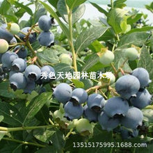 ƷN{ݮ|ͺ{ݮ籱{ݮ׳ɻˮԵԱ