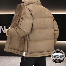 2025�����¿�Ǝ�������L�������I�Ӻ���q�����b�A���p������