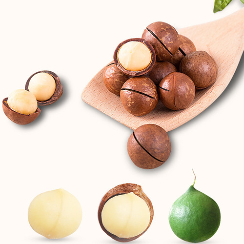 Dropshipping Three Squirrels Macadamia Nuts 120g Creamy Snack Daily Nut Opener