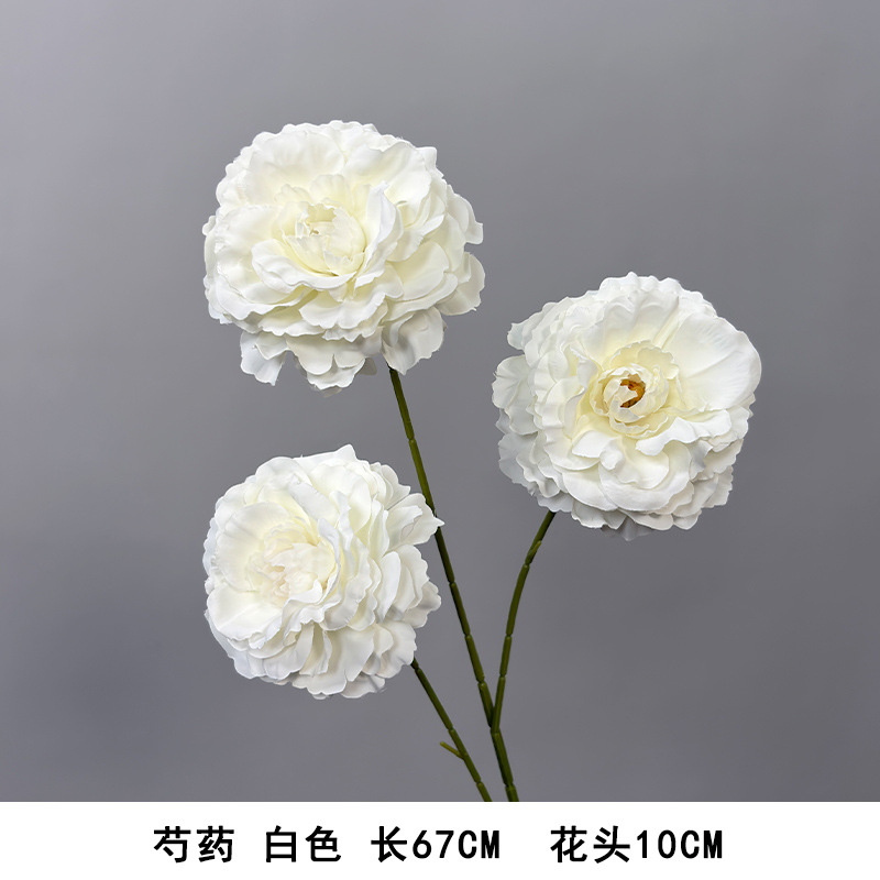 Peony white.