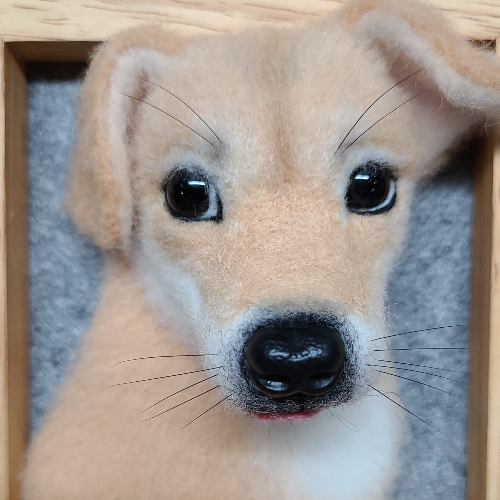 Colección de accesorios para perros animal perro conejo hámster barba ojos lengua lana fieltro poke gato familia hecho a mano
